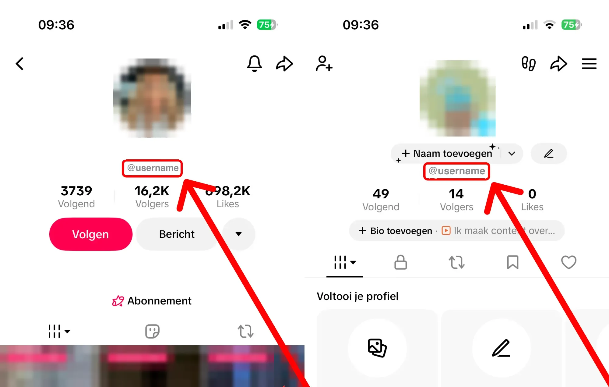 TikTok-pakketten kopen: stappenplan met screenshots – hier vind je je TikTok-gebruikersnaam of profiellink